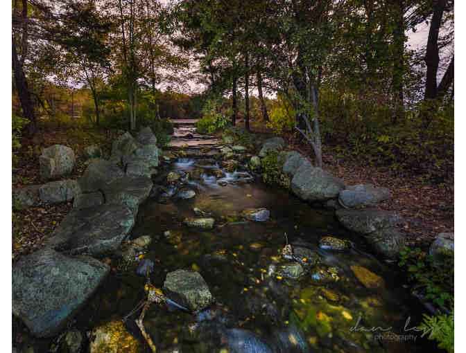 Framed Photo `An Autumnal Evening at Leach Pond` by Dan Less