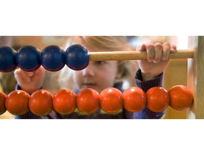 Museum of Science Passes to Exhibit Hall, Planetarium, & Butterfly Garden