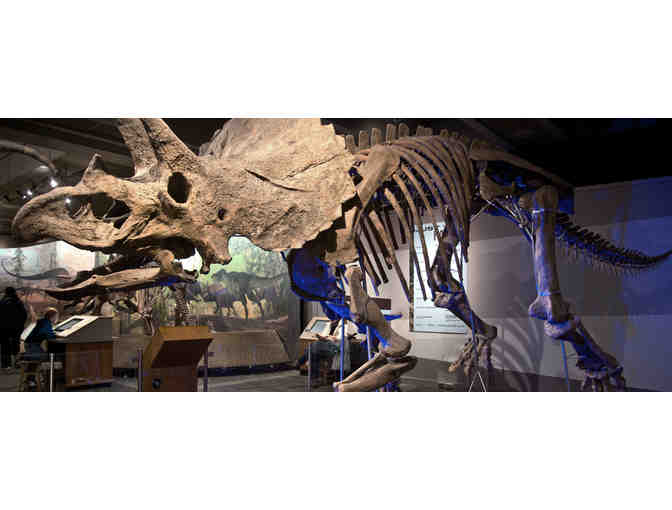 Museum of Science Passes to Exhibit Hall, Planetarium, & Butterfly Garden