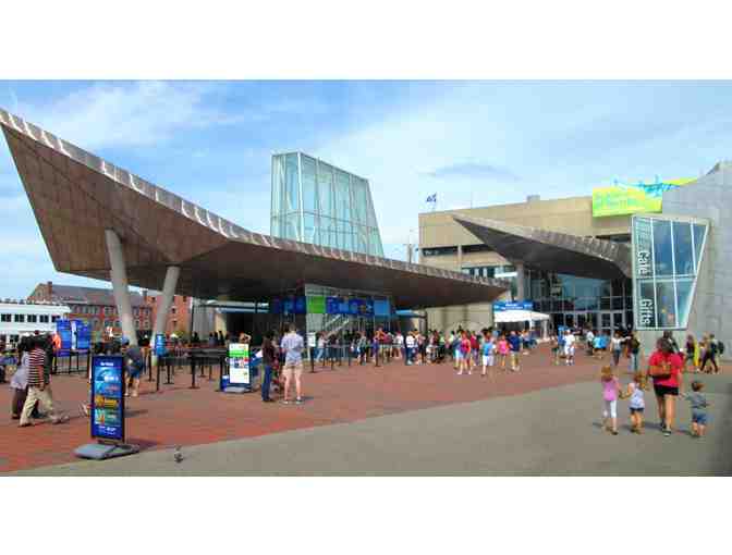 Two (2) Passes to the New England Aquarium