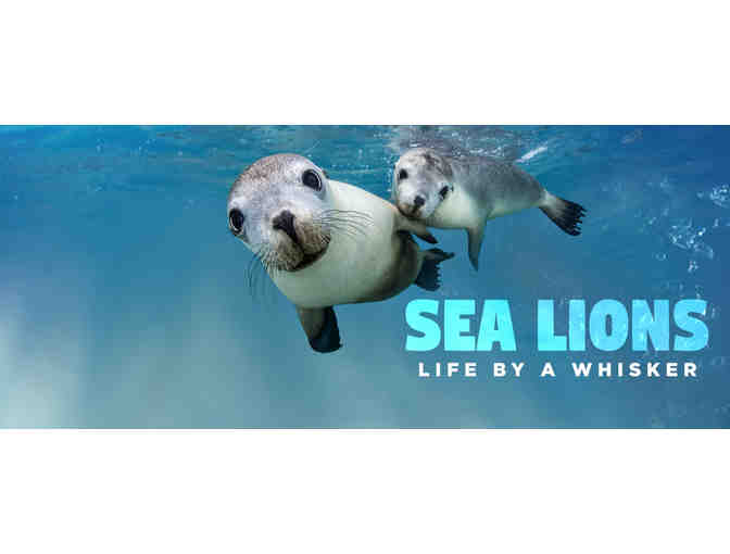 Three (3) Passes to the New England Aquarium