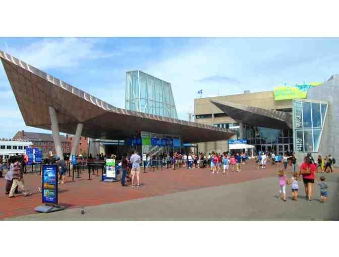 Three (3) Passes to the New England Aquarium