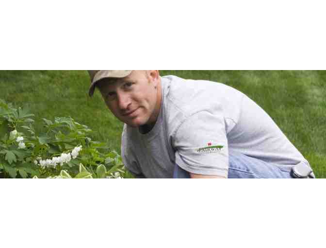 Self watering planter w/ seasonal plants & free landscape consult from Fairway Landscaping