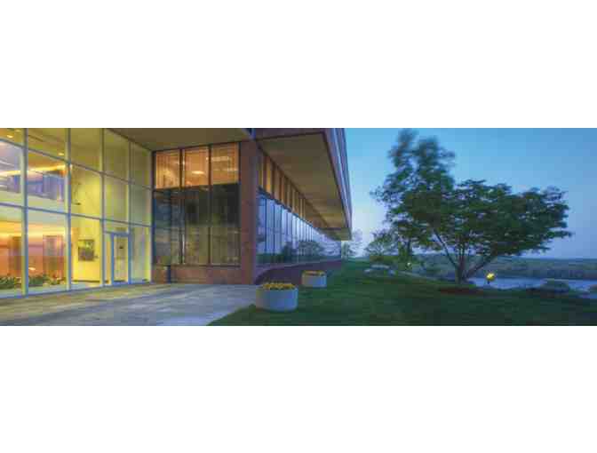 Self watering planter w/ seasonal plants & free landscape consult from Fairway Landscaping