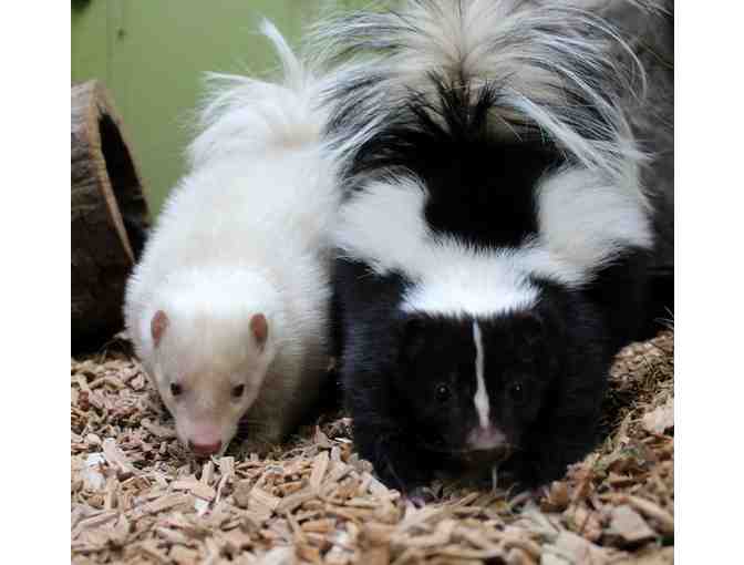 One-day Family Pass to EcoTarium (2 adults, 2 children) in Worcester, MA