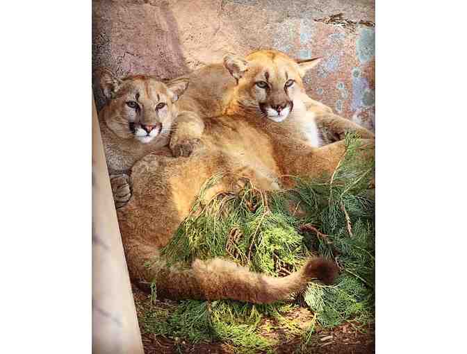 One-day Family Pass to EcoTarium (2 adults, 2 children) in Worcester, MA