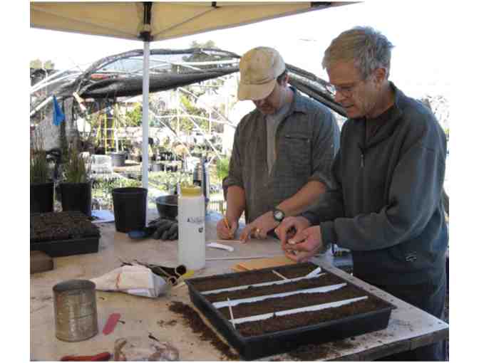 $25 Oaktown Native Plant Nursery