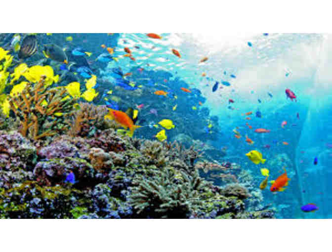 (2) Georgia Aquarium General Admission Tickets