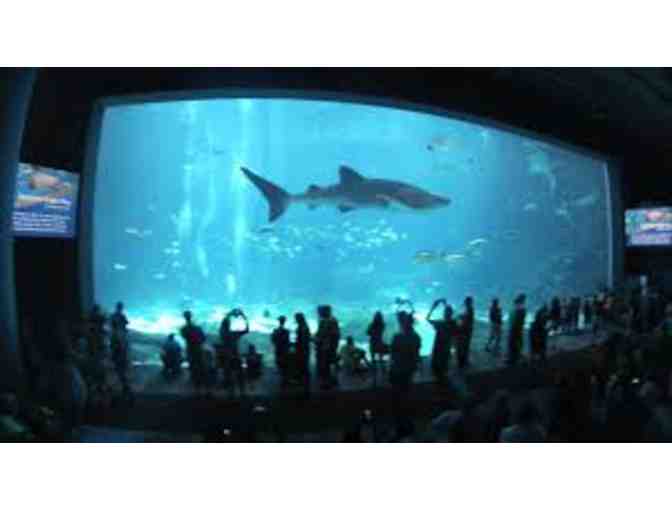 (2) Georgia Aquarium General Admission Tickets