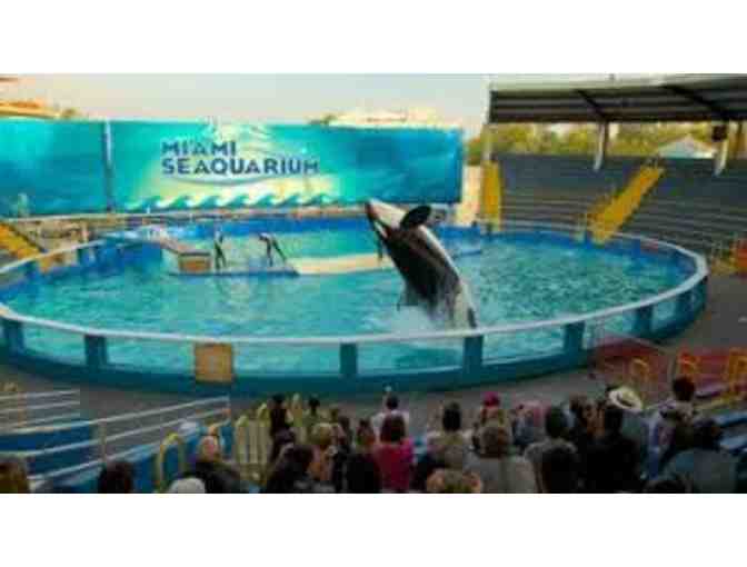 (4) Admission Tickets to the Miami Seaquarium