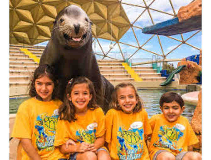 (4) Admission Tickets to the Miami Seaquarium