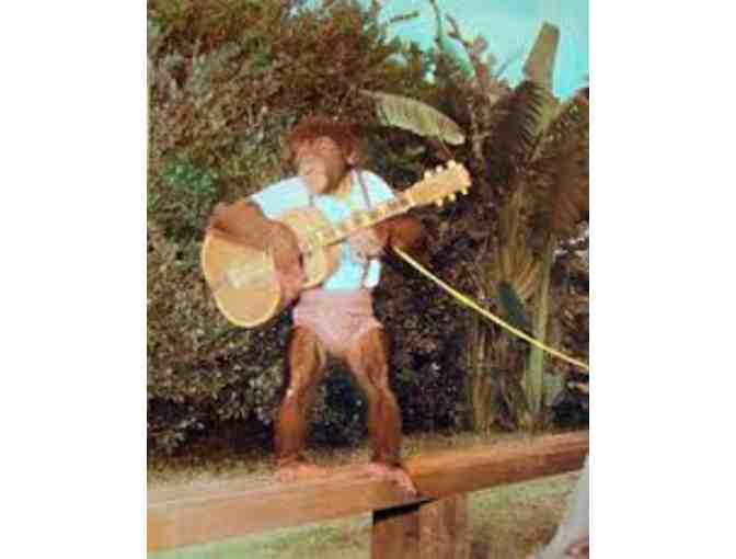 Monkey Jungle Amazonian Tour Pass for (4) Guests