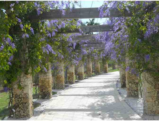 (4) Tickets for General Admission to Naples Botanical Garden