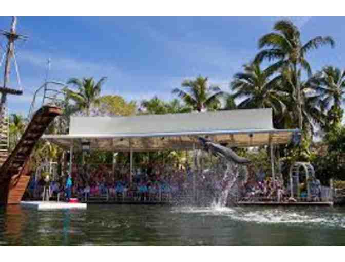 (4) General Admission to the Theater of the Sea