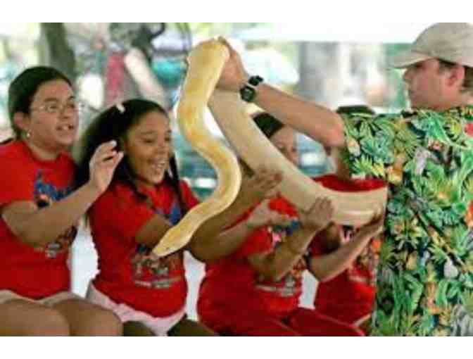 Jungle Island Up-Close VIP Tour for Four (4)