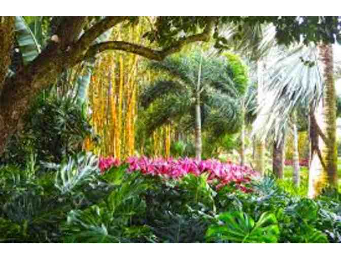 4-Hour Landscape Design Consultation & Customized Idea Book