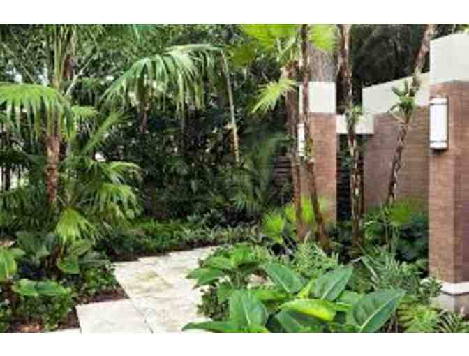 4-Hour Landscape Design Consultation & Customized Idea Book