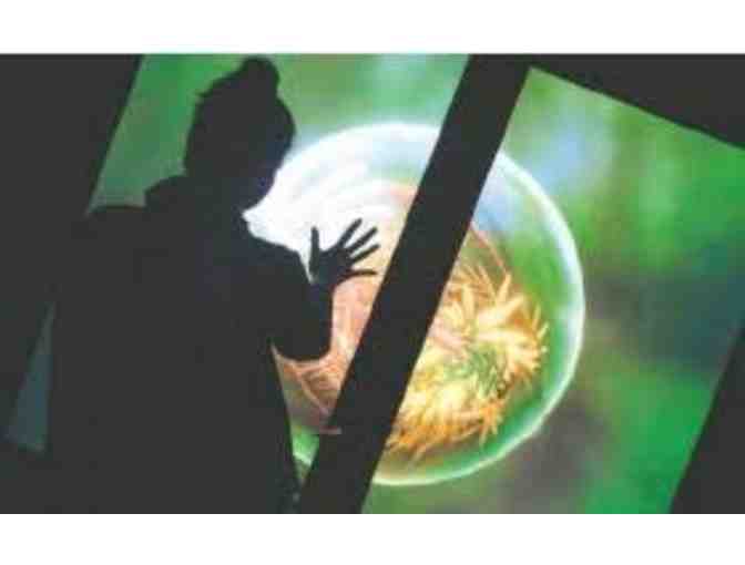 One Hour Private Session for up to 45 Guests at Artechouse