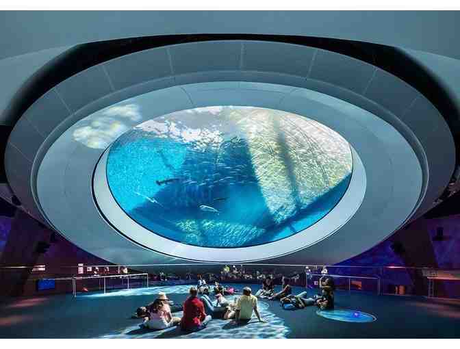 Crew Membership to the Phillip and Patricia Frost Museum