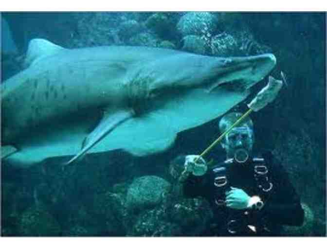 New England Aquarium, Boston - 2 Admission Passes