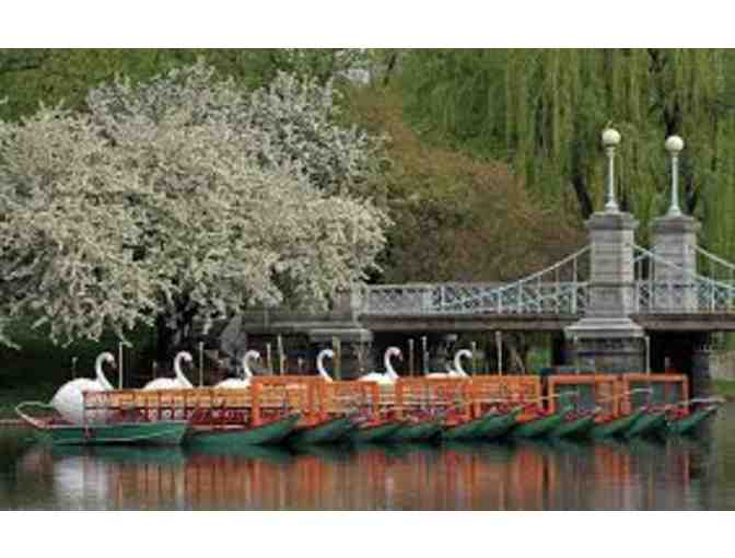 Swan Boats, Boston - Certificate for 4 Rides