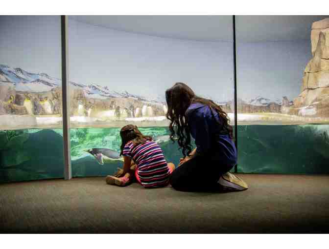 Make-A-Match: Donation Item