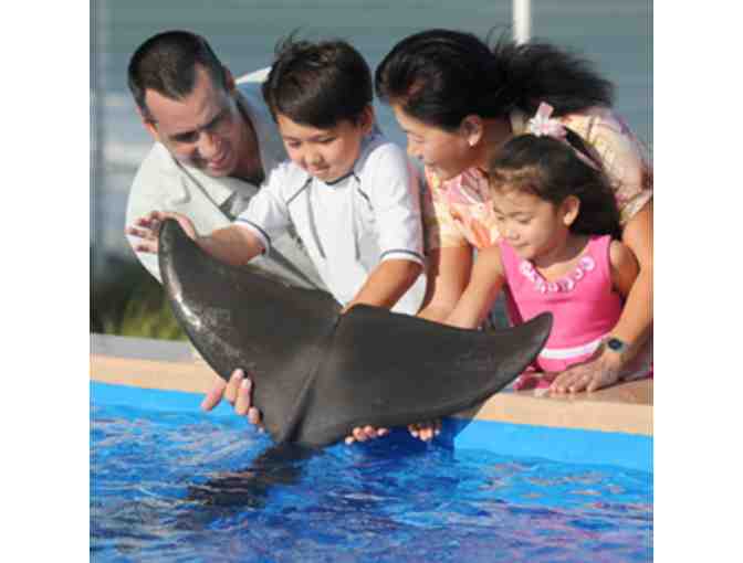 Meet and Greet at Marineland St. Augustine for Four People