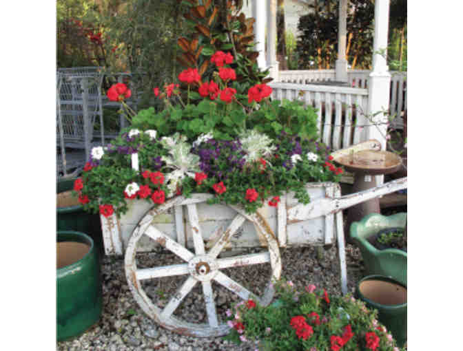 Southern Horticulture - $100 Gift Certificate