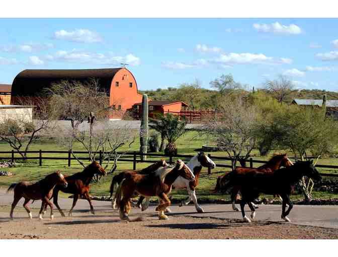 Enjoy 3-Night Stay Dude Ranch Experience at Flying E Ranch in Wickenburg, AZ 4.7 STAR