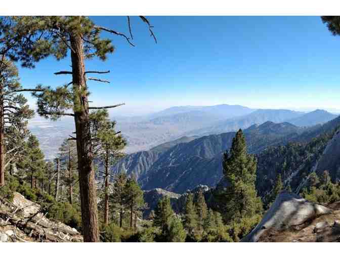 Enjoy 4 nights luxury condo Palm Springs 4.6 star + Aerial Tram!