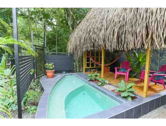 Enjoy 5 nights Manuel Antonio, Costa Rica + Plunge Pool 4.7 STAR! - Photo 4