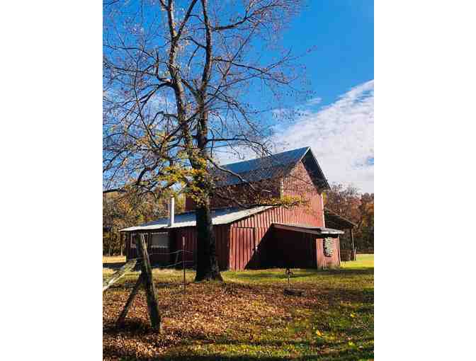 Enjoy 4 nights on the 2 Bed House on Farm Nashville, Tenn + $100 FOOD