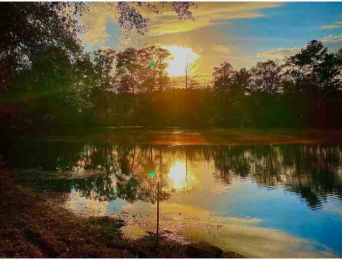 Enjoy 4 nights luxury BnB Stockbridge Lakes, GA (FISHING!) 4.8* Rated - Photo 3