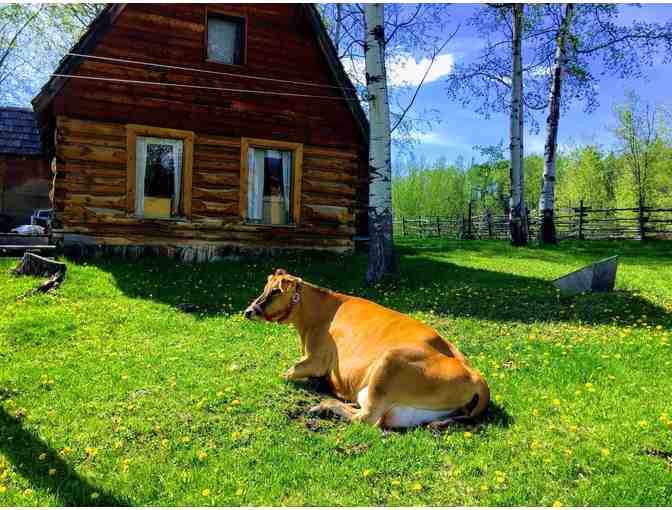 5 Night Stay & Horseback Riding Experience at Montana Hill Guest Ranch - Photo 8