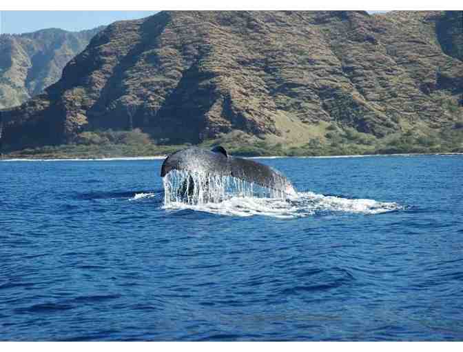 5-Night Oahu Ocean View Home & Private Fishing Charter for 4 - Photo 11