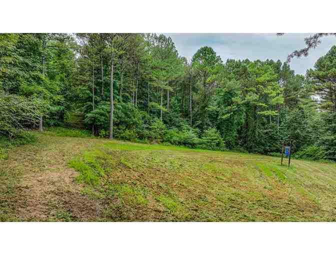 6 night Private Hog Hunting Adventure Alabama