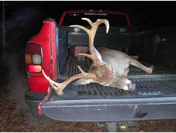 6 night Private Hog Hunting Adventure Alabama