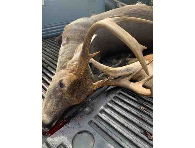 6 night Private Hog Hunting Adventure Alabama