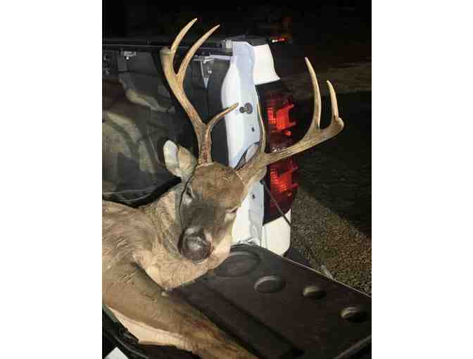 6 night Private Hog Hunting Adventure Alabama