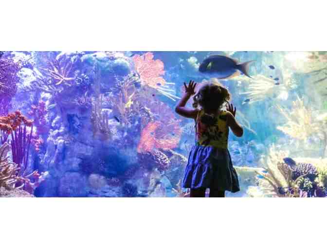 Enjoy 4 nights in 2 bed condo @ Del Mar + Birch Aquarium package - Photo 1