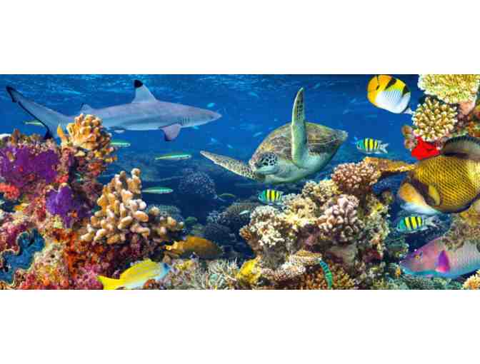 Enjoy 4 nights in 2 bed condo @ Del Mar + Birch Aquarium package - Photo 2