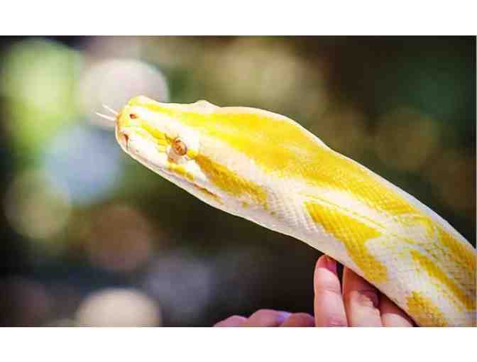 Enjoy 4 nights at Club Wyndham Legacy Golf Resort Phoenix + Wildlife World Zoo