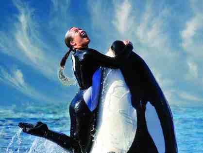 Sea World San Diego Trainer for Day + 5 night Experience