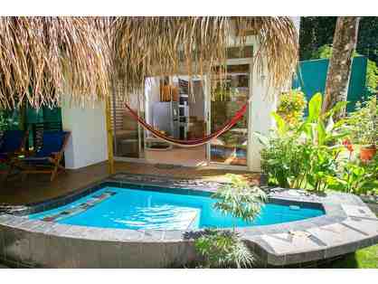 Enjoy 5 nights Manuel Antonio, Costa Rica + Plunge Pool 4.7 STAR!