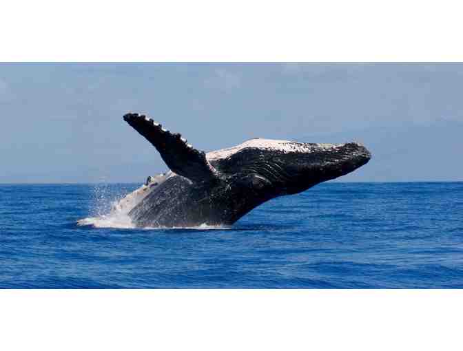 4-Night Stay at Carmel Valley Lodge with Round of Golf in CA