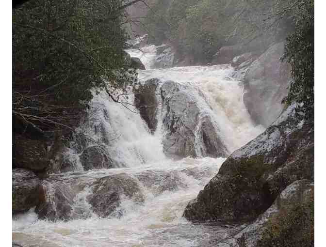 Enjoy 4 nights Maggy's Farm Ashville in 2 bed cabin with trout fishing pond - Photo 5