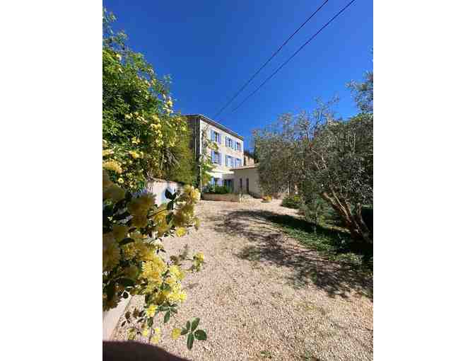 Provence Uncorked: A 7-Night Vineyard Retreat for 12 in the Heart of France