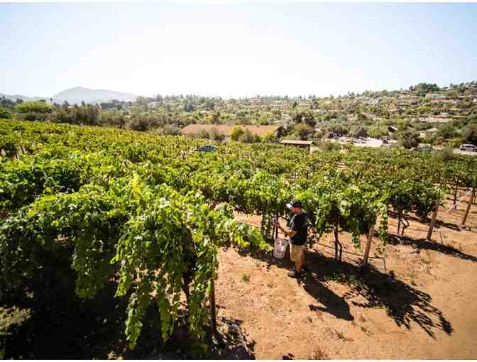 5 night 2 bed condo + San Diego Wine Tasting Getaway