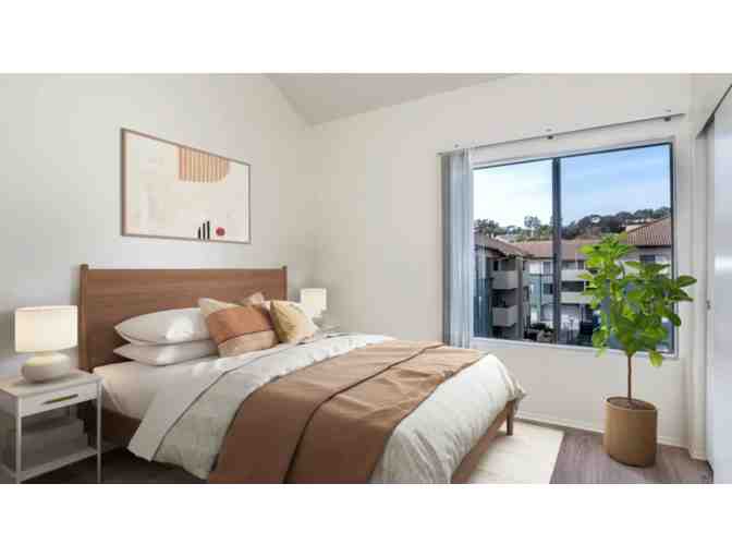 5 night 2 bed condo + San Diego Wine Tasting Getaway