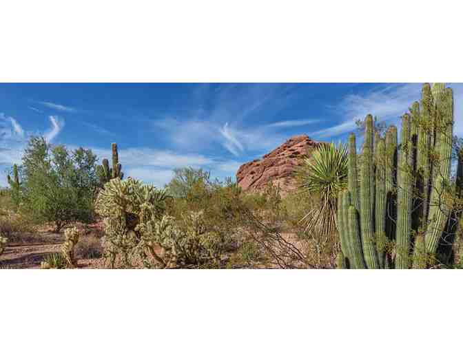 Enjoy 5 nights luxury condo @ Club Wyndham Orange Tree Resort, Scottsdale, AZ